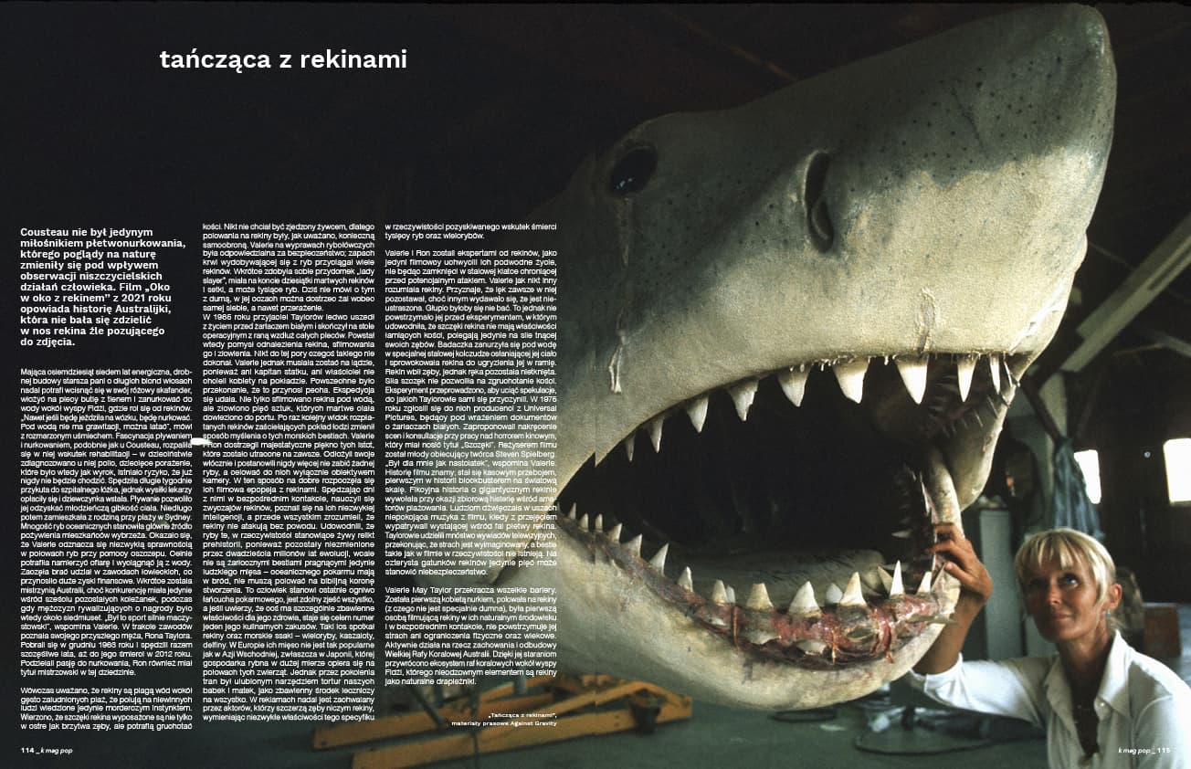 #112 K MAG The Pirates